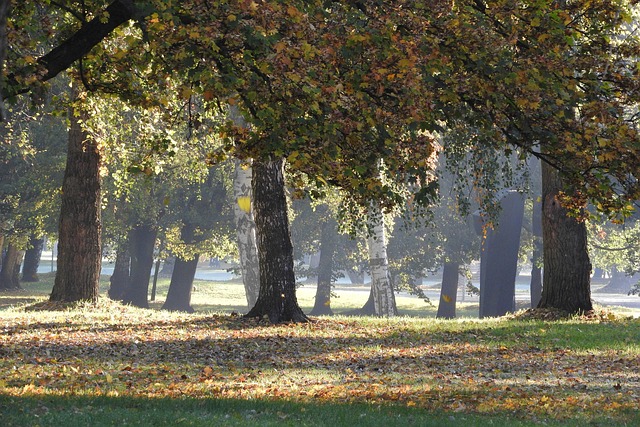 městský park Stromovka